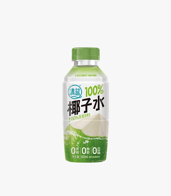 100%椰子水380ml