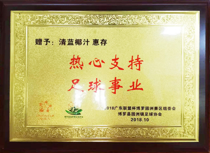 2018聯盟杯+園洲足協