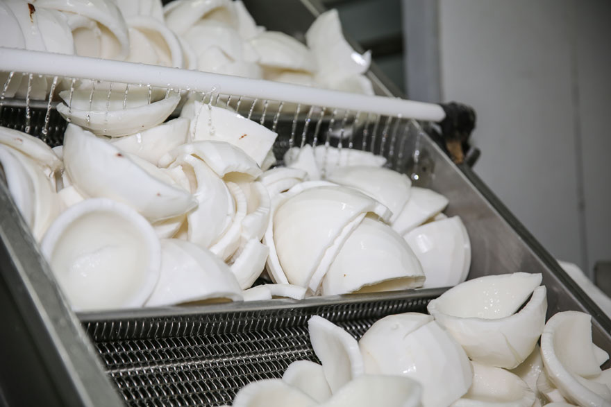 清藍椰汁 清藍椰汁